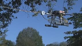 Drone spécialisé dans l'éradication des frelons asiatiques.
