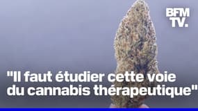 Autorisation du cannabis thérapeutique: pourquoi ça bloque