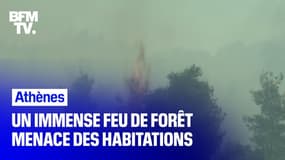 Ce mardi, un feu de forêt s'est déclaré à Athènes et menace des habitations 