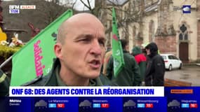 Haut-Rhin: des agents de l'ONF se mobilisent contre la réorganisation