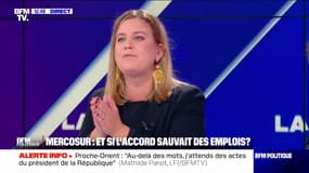Mercosur: pour Mathilde Panot (LFI), "les agriculteurs ont raison de se mobiliser contre ce traité de libre-échange"