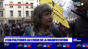 Grève du 23 mars: des primo-manifestants en colère à Lyon