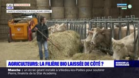 Colère des agriculteurs: la filière bio normande a l'impression "de ne pas exister" 
