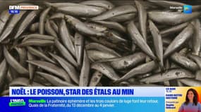 Noël : le poisson, star des étals du MIN des Arnavaux