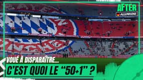 Le 50+1, une spéficité du foot allemand... qui entrave la Bundesliga ?