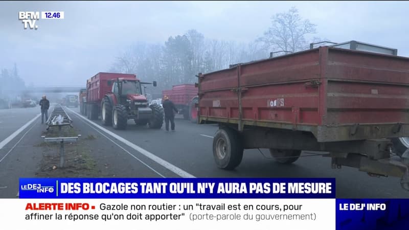 Colère des agriculteurs: des blocages partout en France