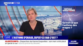 Qu'est-ce que l'asthme des orages? BFMTV répond à vos questions