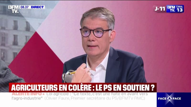 Néonicotinoïdes: Olivier Faure (PS) souhaite 