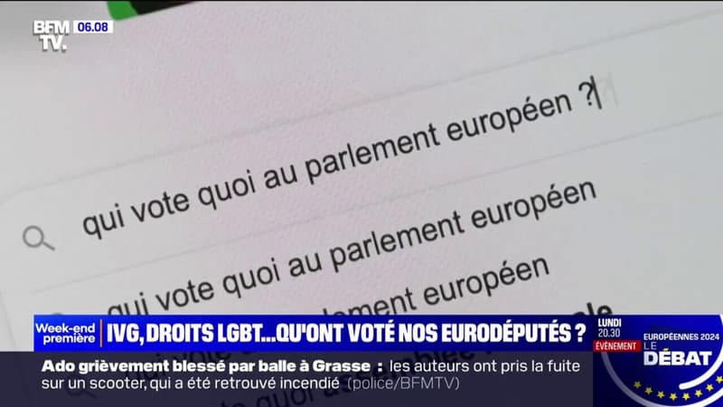 IVG, droits LGBT, égalité salariale, qu'ont voté les eurodéputés français?