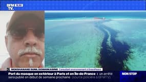 Île Maurice: le consultant environnement à Greenpeace assure que "la biodiversité marine a été endommagée massivement"