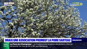 Draix : une association pour la promotion de la poire Sarteau 