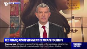 Les Français deviennent de vrais fourmis - 22/01