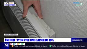 Lyon: la Ville veut réduire sa consommation d'énergie de 10% 