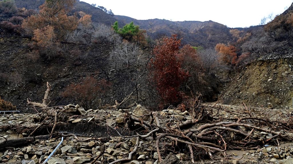 De la boue et des rochers recouvrent une route près de la zone d'incendie de Palisades, au lendemain d'une tempête à Los Angeles, en Californie, le 14 février 2025.