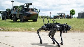 Les projets de robotique dopée à l'IA se développent dans l'armée française.