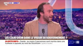LE DOSSIER DU 20H - "Petits colis chinois": Temu et Shein dans le viseur du gouvernement 