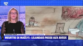 Meurtre de Maëlys : des aveux calculés ? - 12/02