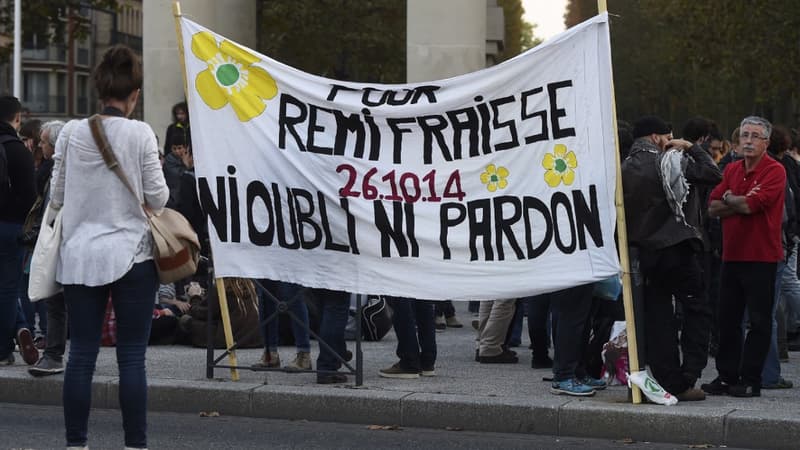 Manifestation à la mémoire de Rémi Fraisse, le 26 octobre 2016 à Toulouse