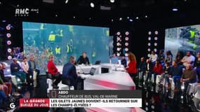 Gilets jaunes: "Sur les Champs-Elysées, tout le monde nous voit"