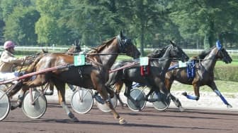 Les pronos hippiques du samedi 8 octobre 2022
