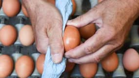 Vers la "fin du broyage des poussins" en France courant 2022: mais pourquoi des agriculteurs faisaient-ils cela?