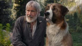 Harrison Ford dans L'Appel de la forêt