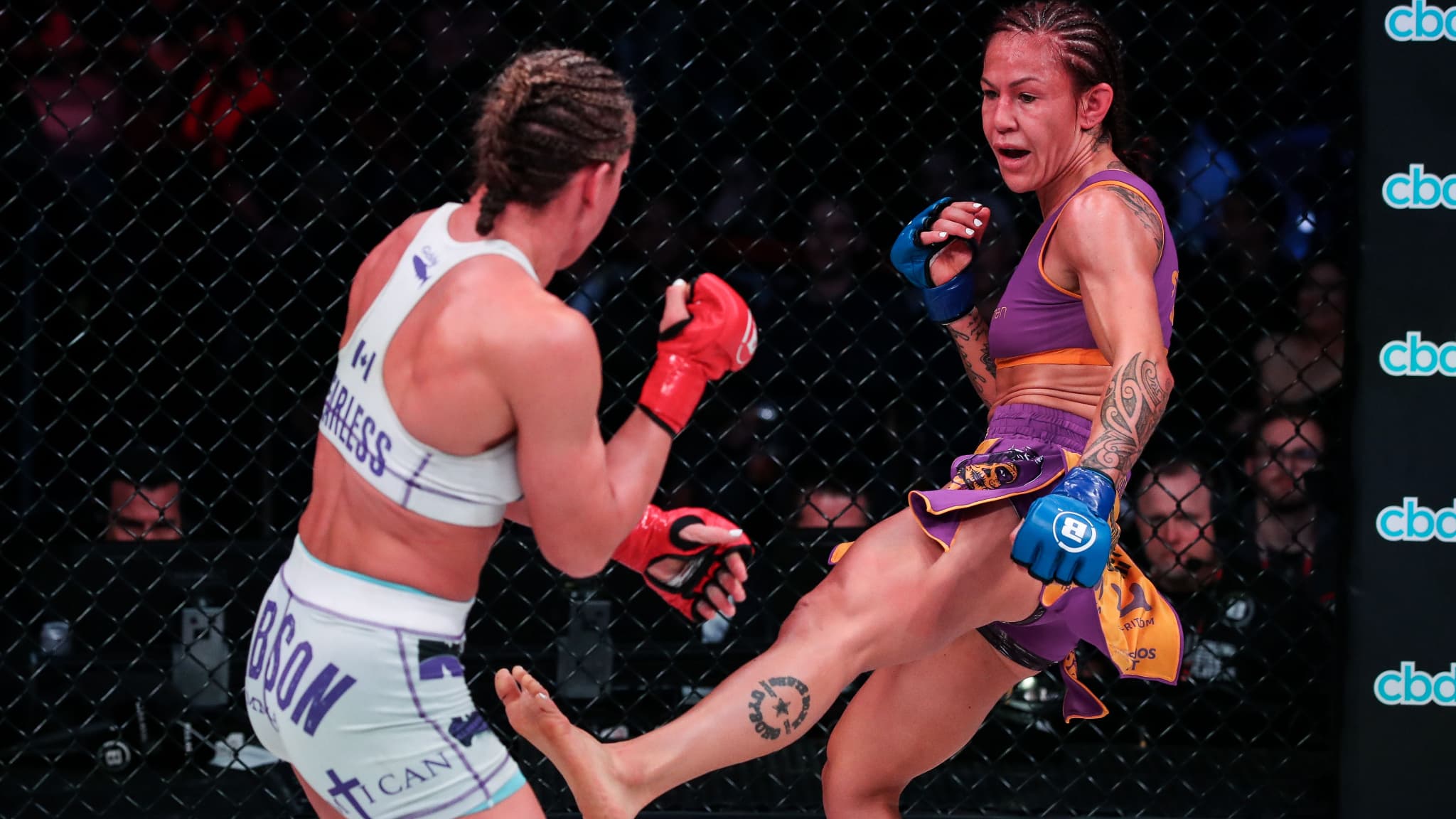 Cristiane "Cyborg" Justino (de face) lors de son combat contre Julia Budd au Bellator 238 en janvier 2020 Cristiane "Cyborg" Justino (de face) lors de son combat contre Julia Budd au Bellator 238 en janvier 2020