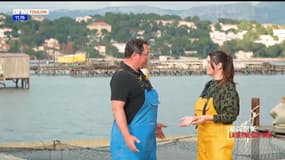 Au cœur de la Seyne-sur-mer : l’aquaculture à La Seyne-sur-Mer 