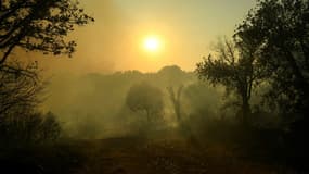 Incendies de forêt à Grimaud, dans le département du Var, le 17 août 2021
