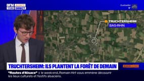 Raifort: le "peps" de la cuisine alsacienne