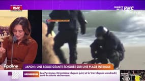 Les histoires de Marguerite Dumont : Une boule géante échouée sur une plage du Japon intrigue - 23/02