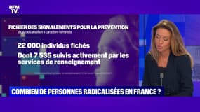 Combien de personnes radicalisées en France ? - 11/09