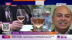 Baisse de la consommation d'alcool: "les gens ont plus conscience des risques, même les jeunes"