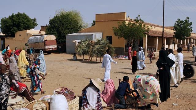 Un marché à Aderde, dans l'Ouest de l'Erythrée, le 18 juillet 2013.