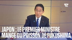 "C'est très bon": le Premier ministre japonais tente de rassurer en mangeant du poisson pêché à Fukushima