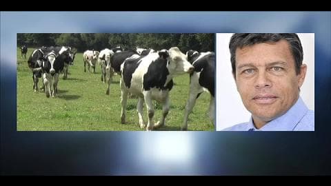 Crise des éleveurs: Xavier Beulin, président de la FNSEA