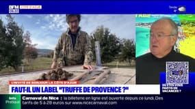 Appellation "Truffe de Provence": bientôt une réunion avec l'Institut national de l'origine et de la qualité