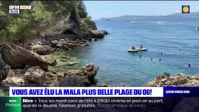 Plus belle plage des Alpes-Maritimes: vous avez élu la Mala