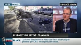 La chronique d'Anthony Morel: Biorobotique: Des robots inspirés des animaux – 24/03