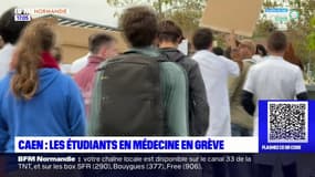 Caen: les étudiants en médecine mobilisés