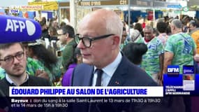 Salon de l'agriculture: Édouard Philippe renouvelle son soutien aux agriculteurs
