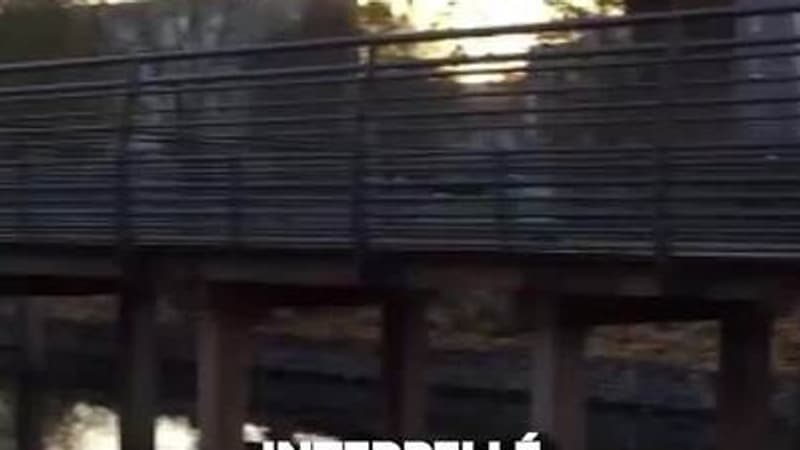 Une retraitée de 72 ans violée par un homme sous OQTF