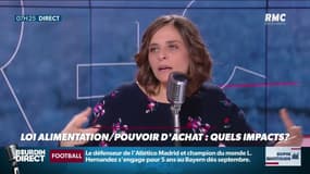 Dupin Quotidien : Loi alimentation : quels impacts ?