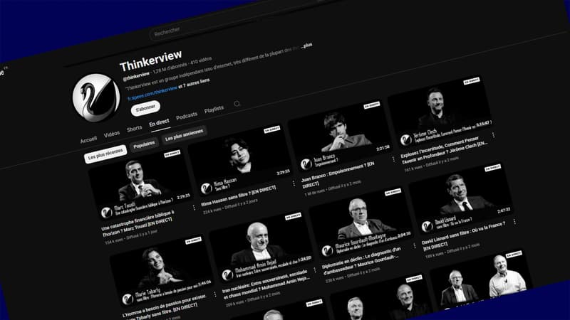 La chaîne Youtube Thinkerview