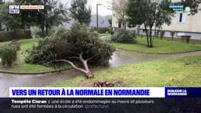 Tempête Ciaran: vers un retour à la normale en Normandie
