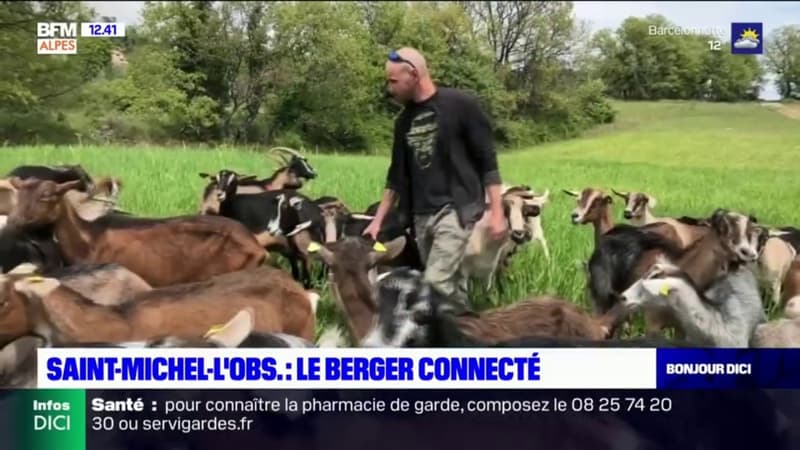 Saint-Michel-l'Observatoire: il partage sa vie de berger sur les réseaux sociaux
