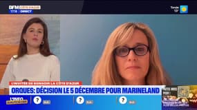 Marineland: l'association One Voice affirme que le parc envoie des otaries et des phoques en Chine