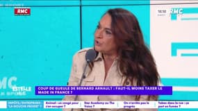 Taxes en France : "On a des politiques qui vont massacrer la France", déplore Yaël Mellul