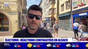 Élections européennes, dissolution de l'Assemblée... Des réactions contrastées en Alsace