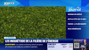 Les inquiétudes de la filière de l'énergie
